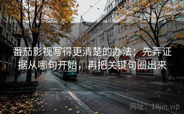 番茄影视写得更清楚的办法：先弄证据从哪句开始，再把关键句圈出来